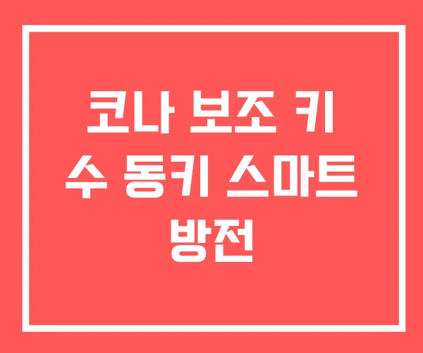 코나 보조 키 수 동키 스마트 방전