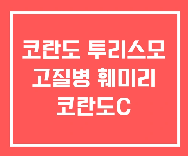 코란도 투리스모 고질병 훼미리 코란도C