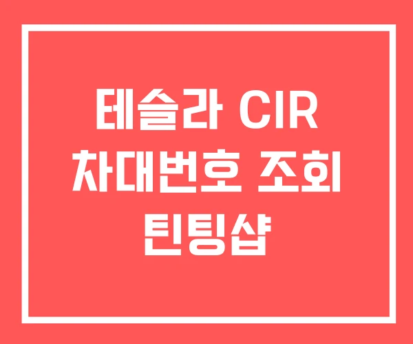 테슬라 CIR 차대번호 조회 틴팅샵