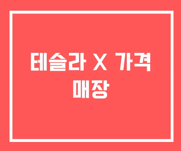 테슬라 X 가격 매장
