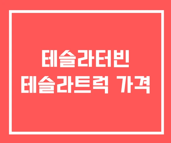 테슬라터빈 테슬라트럭 가격