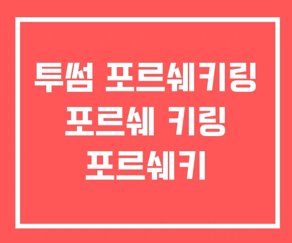 투썸 포르쉐키링 포르쉐 키링 포르쉐키