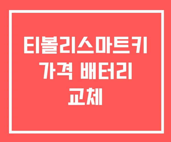 티볼리스마트키 가격 배터리 교체