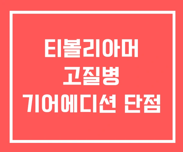 티볼리아머 고질병 기어에디션 단점