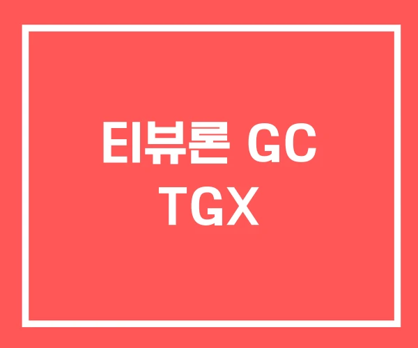 티뷰론 GC TGX