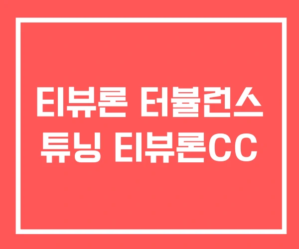 티뷰론 터뷸런스 튜닝 티뷰론CC