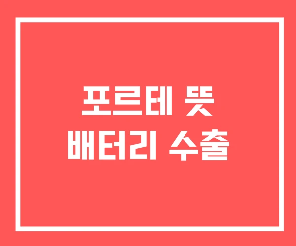 포르테 뜻 배터리 수출