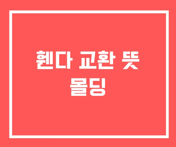 휀다 교환 뜻 몰딩