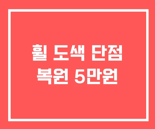 휠 도색 단점 복원 5만원