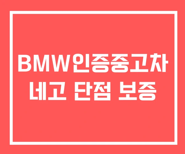 BMW인증중고차 네고 단점 보증