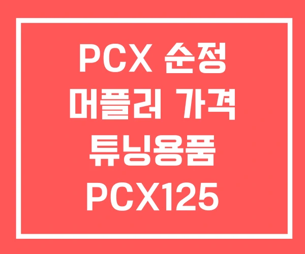 PCX 순정 머플러 가격 튜닝용품 PCX125 25년식 튜닝