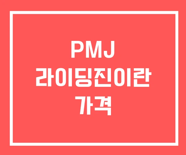 PMJ 라이딩진이란 가격