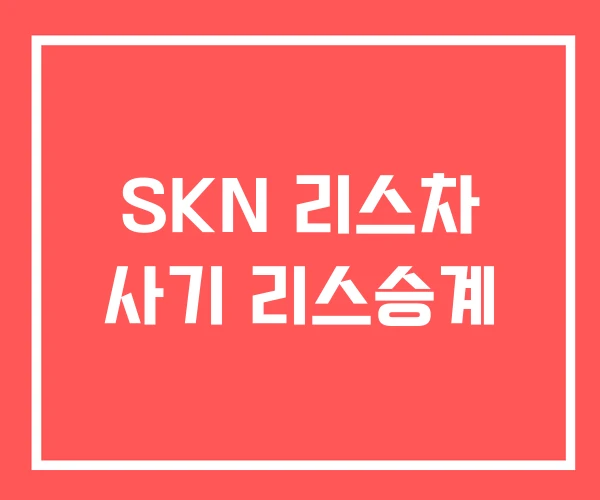 SKN 리스차 사기 리스승계