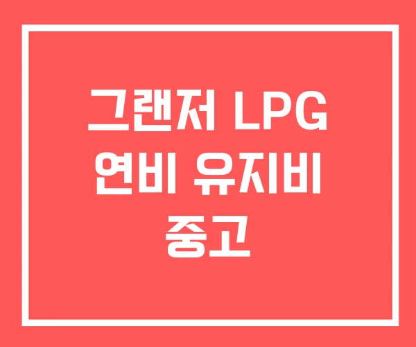 그랜저 LPG 연비 유지비 중고