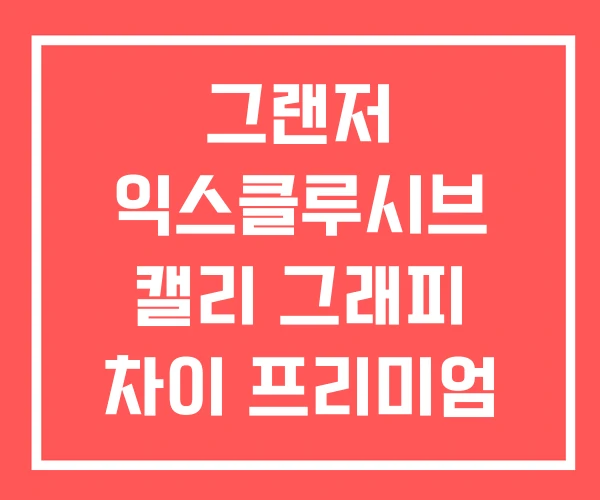 그랜저 익스클루시브 캘리 그래피 차이 프리미엄 플래티넘
