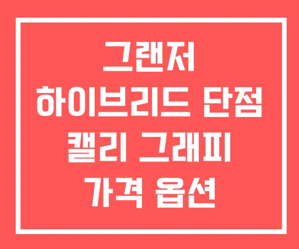 그랜저 하이브리드 단점 캘리 그래피 가격 옵션