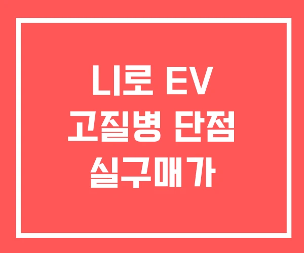 니로 EV 고질병 단점 실구매가