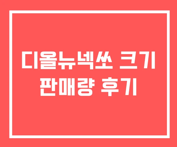 디올뉴넥쏘 크기 판매량 후기