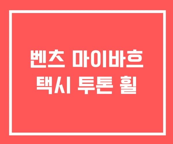 벤츠 마이바흐 택시 투톤 휠