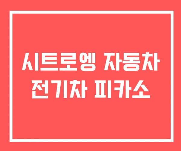 시트로엥 자동차 전기차 피카소