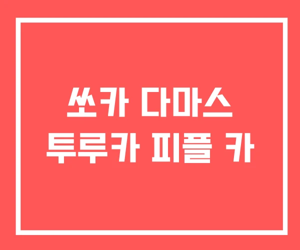 쏘카 다마스 투루카 피플 카