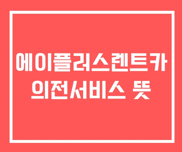 에이플러스렌트카 의전서비스 뜻