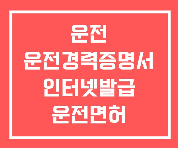 운전 운전경력증명서 인터넷발급 운전면허