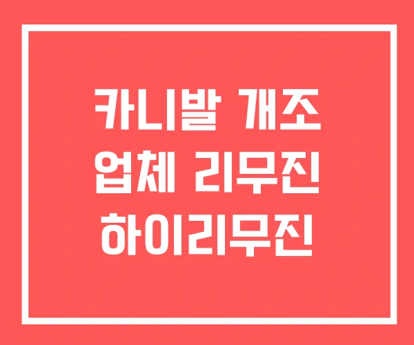 카니발 개조 업체 리무진 하이리무진