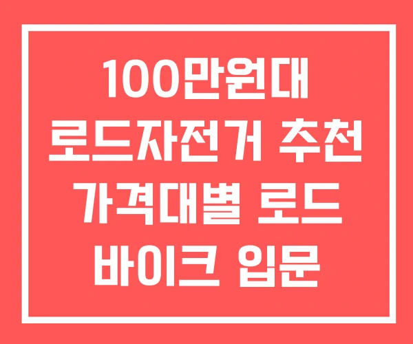 100만원대 로드자전거 추천 가격대별 로드 바이크 입문