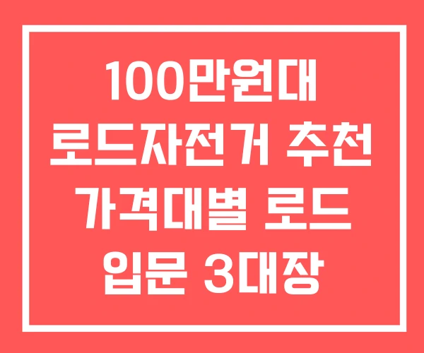 100만원대 로드자전거 추천 가격대별 로드 입문 3대장