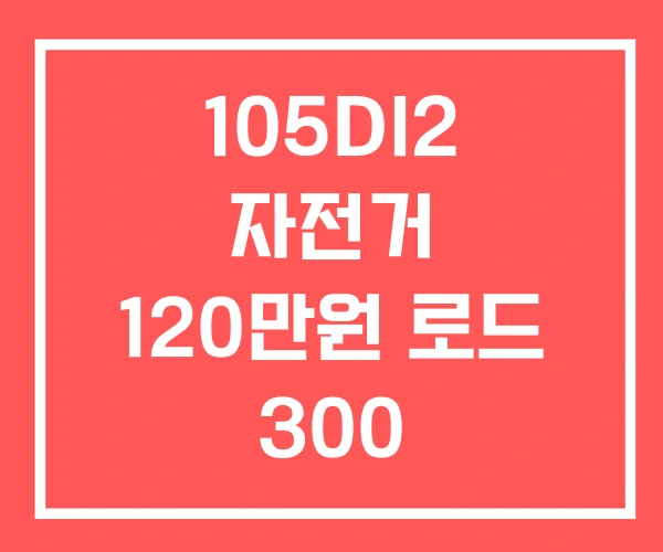105DI2 자전거 120만원 로드 300