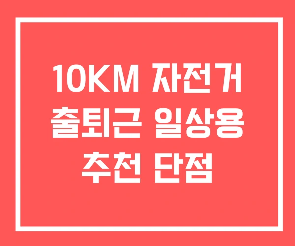 10KM 자전거 출퇴근 일상용 추천 단점