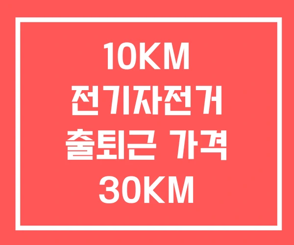 10KM 전기자전거 출퇴근 가격 30KM