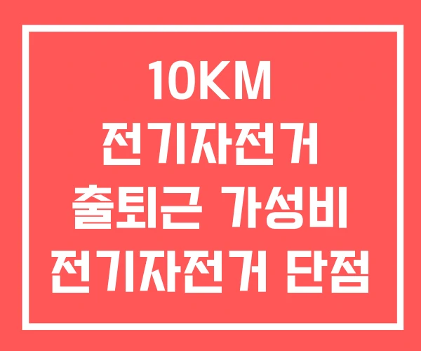 10KM 전기자전거 출퇴근 가성비 전기자전거 단점