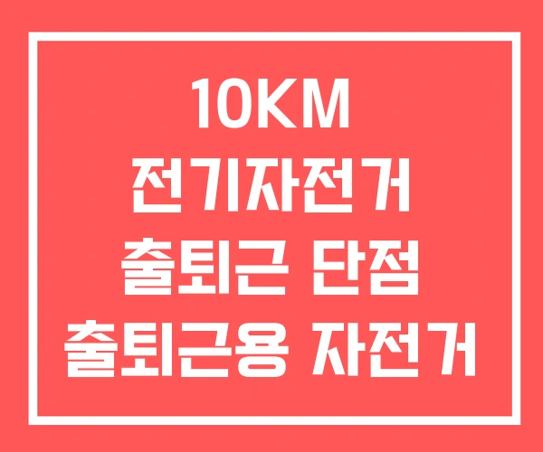 10KM 전기자전거 출퇴근 단점 출퇴근용 자전거 추천