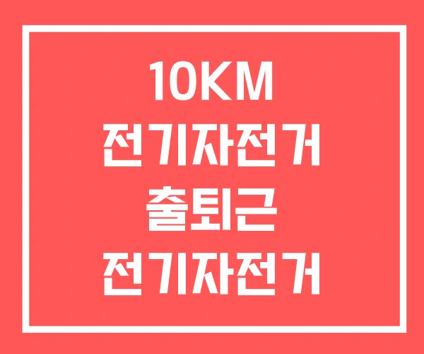 10KM 전기자전거 출퇴근 전기자전거 주행거리 가격