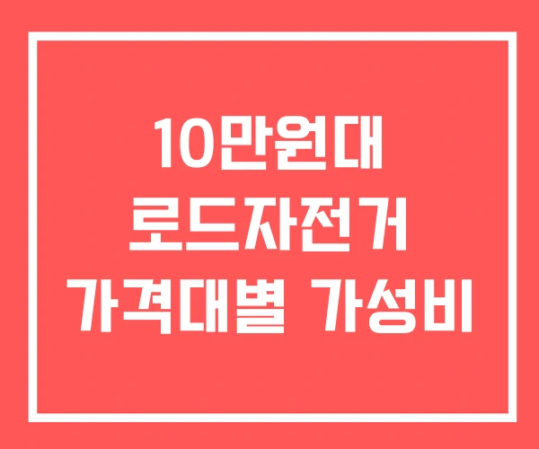 10만원대 로드자전거 가격대별 가성비