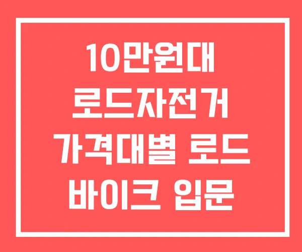 10만원대 로드자전거 가격대별 로드 바이크 입문 추천 10만원대 로드자전거 가격대별 로드 바이크 입문 추천