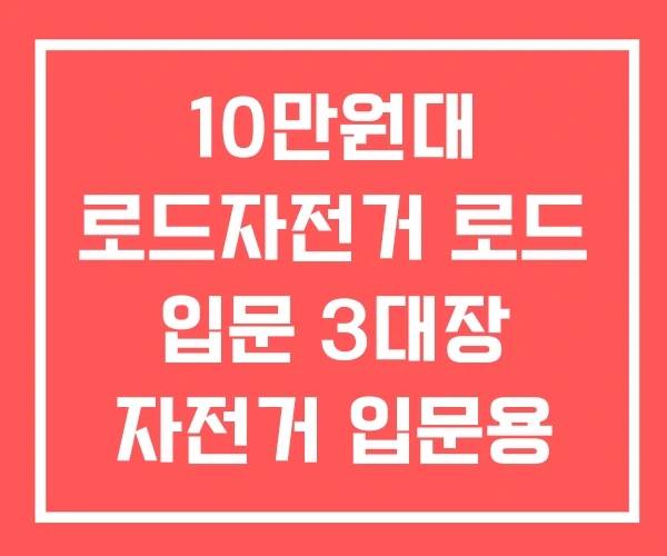 10만원대 로드자전거 로드 입문 3대장 자전거 입문용