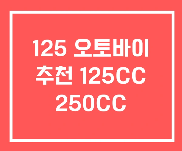 125 오토바이 추천 125CC 250CC