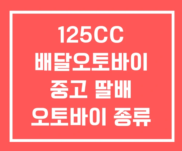 125CC 배달오토바이 중고 딸배 오토바이 종류 추천