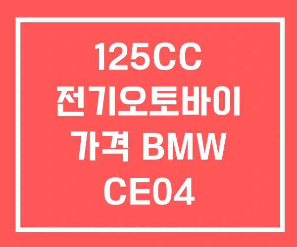 125CC 전기오토바이 가격 BMW CE04