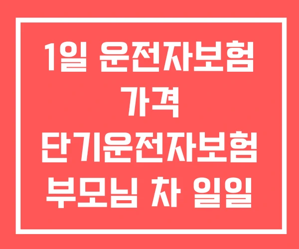 1일 운전자보험 가격 단기운전자보험 부모님 차 일일 보험
