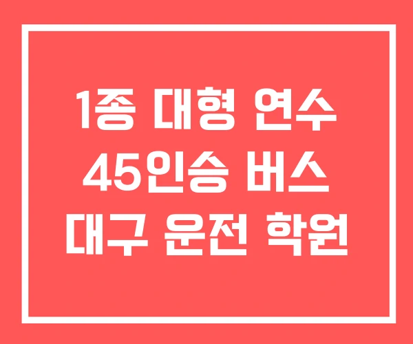 1종 대형 연수 45인승 버스 대구 운전 학원