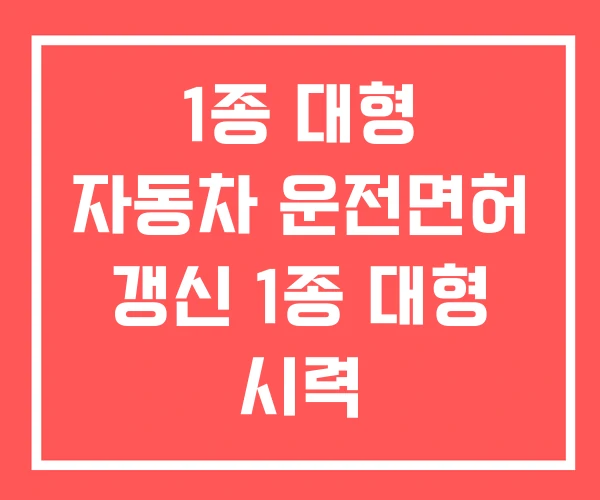 1종 대형 자동차 운전면허 갱신 1종 대형 시력 1종 대형 자동차 운전면허 갱신 1종 대형 시력