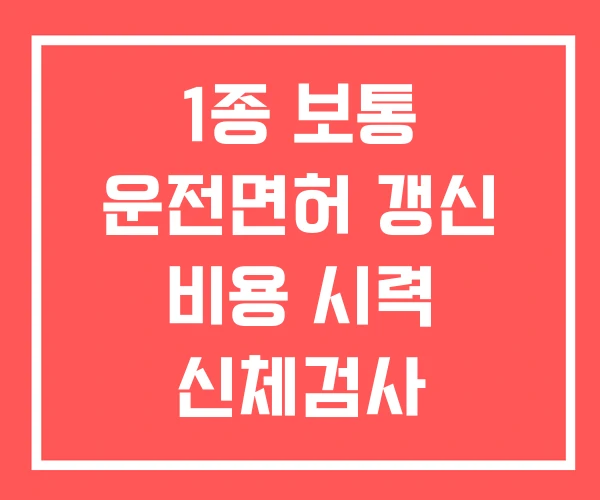 1종 보통 운전면허 갱신 비용 시력 신체검사