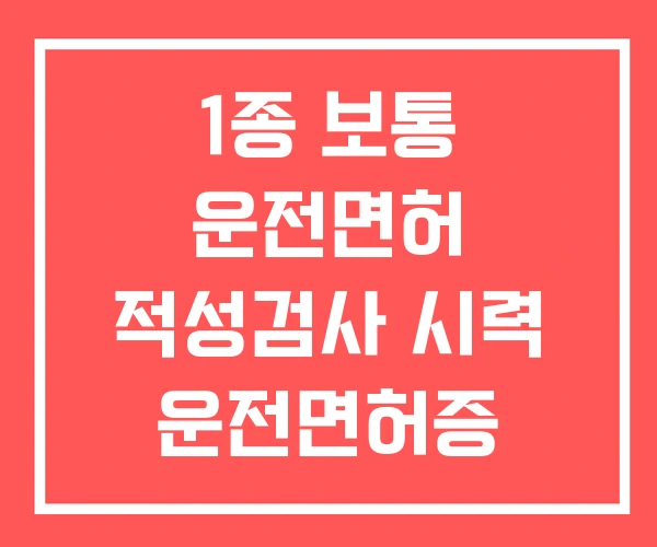 1종 보통 운전면허 적성검사 시력 운전면허증 온라인 갱신
