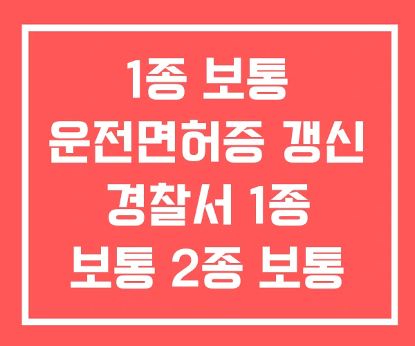 1종 보통 운전면허증 갱신 경찰서 1종 보통 2종 보통 차이