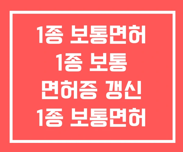 1종 보통면허 1종 보통 면허증 갱신 1종 보통면허