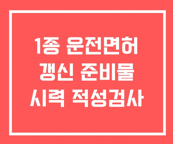 1종 운전면허 갱신 준비물 시력 적성검사